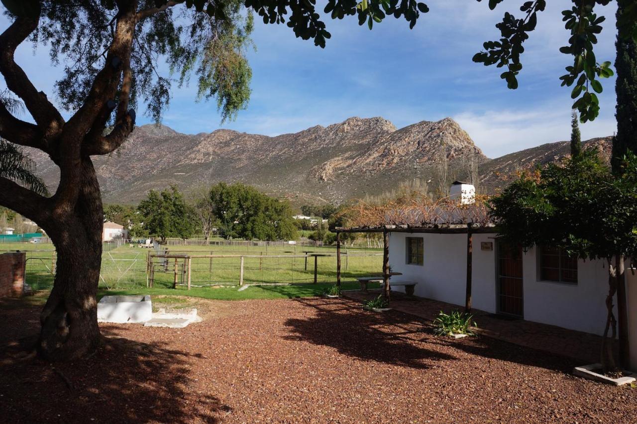 Long Acres Cottages 몬터규 객실 사진